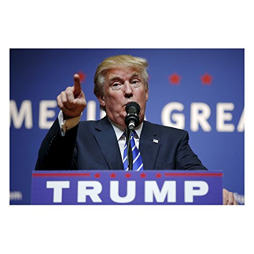 Fabulous Poster Plakat Donald Trump(41cmx61cm) von Fabulous
