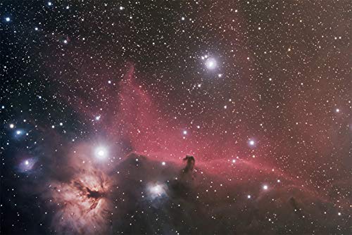 Fabulous Poster Plakat Pferdekopfnebel Weltraum Astronomie Fabulous Poster Plakat Pferdekopfnebel Weltraum Astronomie von Fabulous