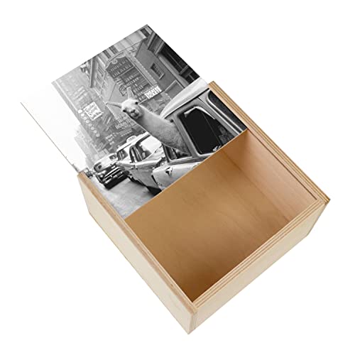 Fabulous Schachtel aus Holz – Lama a Time Square Swag New York Annees 30 Vintage Foto (11 x 11 x 3,5 cm) von Fabulous