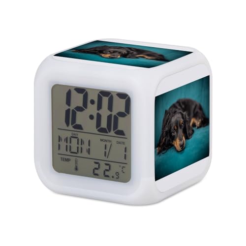 Fabulous Wecker Würfel, beleuchtet, Weiß – Corgi Zwerg Kleiner Hund schwarz und braun niedlich – 7,8 x 7,8 x 7,8 cm – Retro-Beleuchtung, mehrfarbig, LED von Fabulous