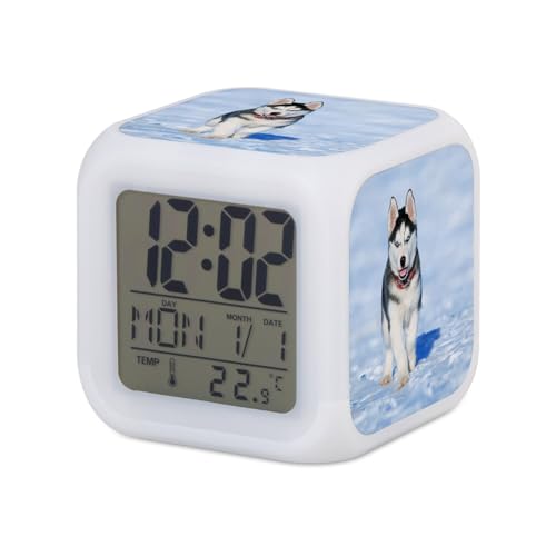 Fabulous Wecker Würfel beleuchtet weiß – Husky Welpe im Schnee Hund Halsband rot blaue Augen niedlich – 7,8 x 7,8 x 7,8 cm – Retro-Beleuchtung mehrfarbig LED Fabulous Wecker Würfel beleuchtet weiß – Husky Welpe im Schnee Hund Halsband rot blaue Augen niedlich – 7,8 x 7,8 x 7,8 cm – Retro-Beleuchtung mehrfarbig LED von Fabulous
