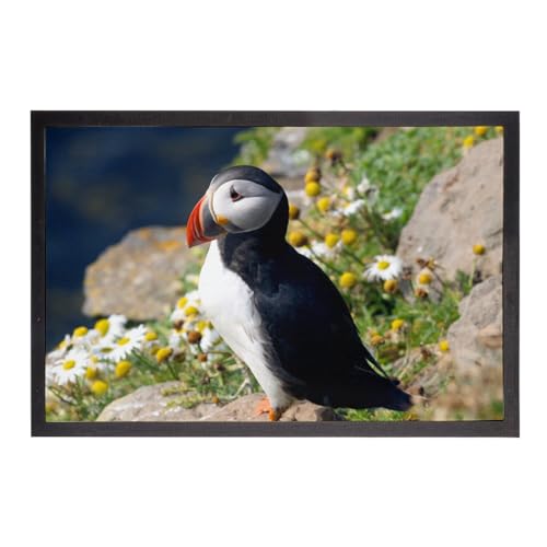 Fußmatte Papageientaucher Fraterculini Meeresvogel, seltenes Wildtier – Maße: 75 x 50 cm Fußmatte Papageientaucher Fraterculini Meeresvogel, seltenes Wildtier – Maße: 75 x 50 cm von Fabulous