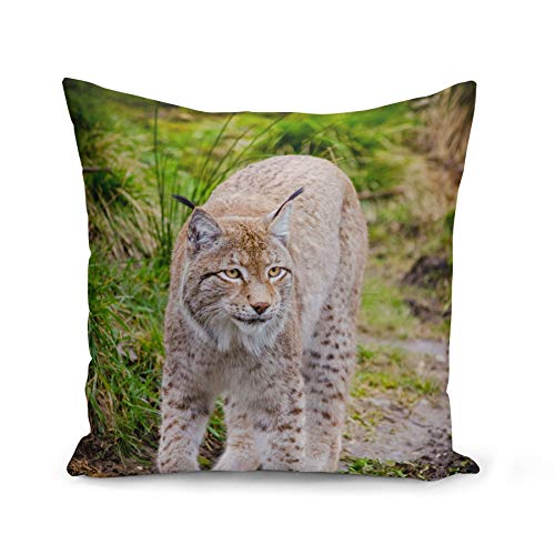 Kissen Kissenbezug 40x40 cm Großer Luchs Wildes Tier Naturfoto von Fabulous