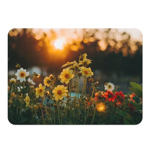 Platzset mit Unterseite aus Kork, Feldblumen vor Sonnenuntergang, Natur, groß, 39,5 x 28,5 cm von Fabulous
