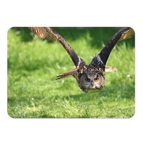 Platzset, weich, Unterseite aus Kork, Deckchen, Eule im Flug, tolles Foto, Tiermotiv, Natur, großes Format 39,5 x 28,5 cm von Fabulous