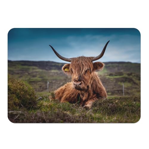 Platzset mit Unterseite aus Kork, Stier, Highland, wunderschönes Tiermotiv, Naturfoto, groß, 39,5 x 28,5 cm von Fabulous