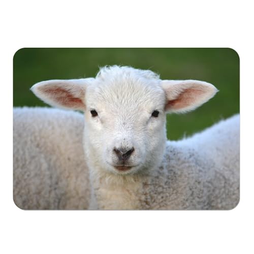 Platzsets mit Korkunterlage, Lamm, Baby-Schaf, super niedlich, Tierwiese, groß, 39,5 x 28,5 cm, 4 Stück von Fabulous