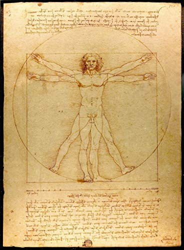 Fabulous Poster Plakat Der Mensch Leonardo da Vinci Berühmte Kunstwerke Wissenschaft Zeichnung von Fabulous