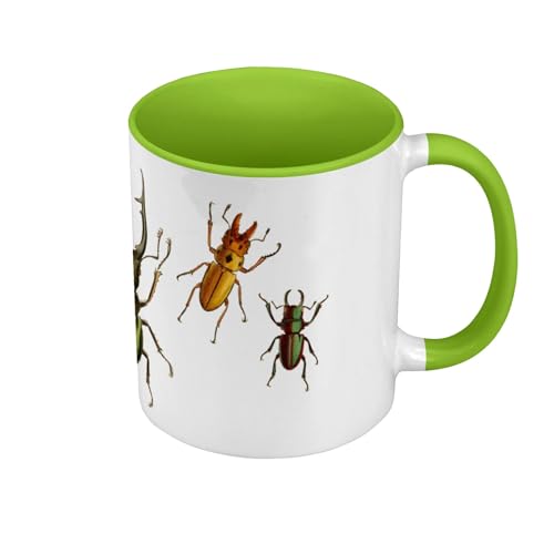 Tasse, Farbe Premium Qualität, Grün – Käfer Planches Insekten, Biologie, antike Illustration – Tasse mit Henkel und farbigem Innenfutter Tasse, Farbe Premium Qualität, Grün – Käfer Planches Insekten, Biologie, antike Illustration – Tasse mit Henkel und farbigem Innenfutter von Fabulous