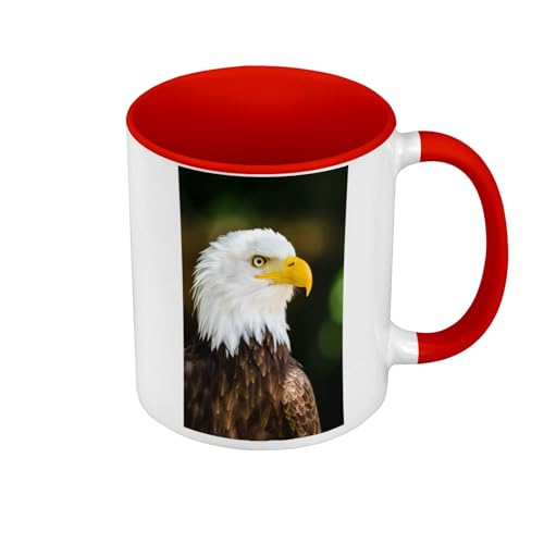 Tasse in Premium-Qualität, Rot – Weißkopfseeadler Adler Wildleben Rapace – Tasse mit Henkel und farbigem Innenfutter von Fabulous