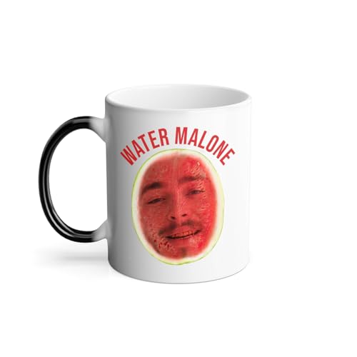 Thermoreagierende Tasse Magische Tasse – Water Malone Parodie Fruit Rap Rap Rap – 325 ml von Fabulous