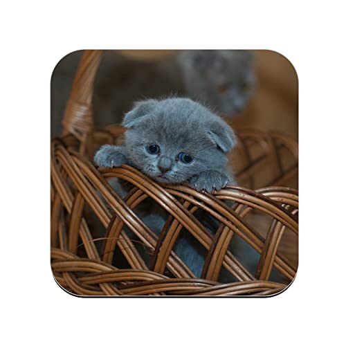 Untersetzer aus Kork – Kätzchen Chartreux grau niedlich will aus dem Weidenkorb Tiere – 1 Einheit (95 x 95 mm) von Fabulous