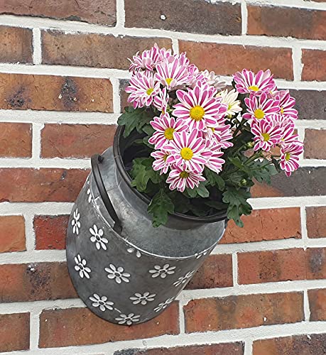 Fachhandel Plus 1/2 Zinkkanne Blumentopf hängend originelles Pflanzgefäß Gartendeko Pflanzkanne von Fachhandel Plus