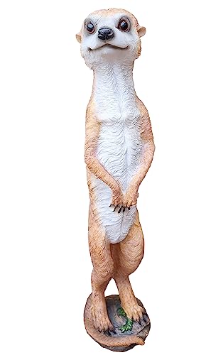 Fachhandel Plus Dekofigur Erdmännchen lebensechte Tierfigur Gartendeko Scharrtier Suricate Fachhandel Plus Dekofigur Erdmännchen lebensechte Tierfigur Gartendeko Scharrtier Suricate von Fachhandel Plus
