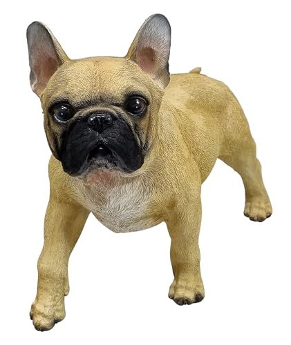 Fachhandel Plus DEKOFIGUR französische Bulldogge Monti Tierfigur Hund stehend lebensecht von Fachhandel Plus