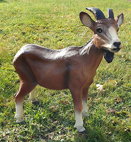 Fachhandel Plus Ziegenbock Steinbock Geißbock Deko Figur Ziege Franz Tierfigur Gartendekoration Fachhandel Plus Ziegenbock Steinbock Geißbock Deko Figur Ziege Franz Tierfigur Gartendekoration von Fachhandel Plus