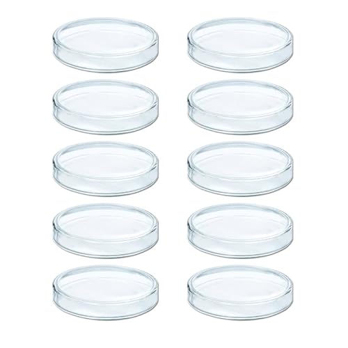 10PCS Borosilikatglas Kultur Platten Für Zellwachstum Bioresearch Sterile Petrischalen 60mm 75mm 90mm 100mm Durchmesser Lab Verbrauchsmaterialien 10Pcs Glas Kultur Gerichte Petrischalen Hohe von FackLOxc