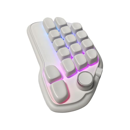 FackLOxc Programmierbare Kabel, mechanischer Numpad, 17 Tasten, Hot-Swap-fähiger USB-Nummernblock mit RGB-Hintergrundbeleuchtung und PBT-Tastenkappen, Laptop von FackLOxc