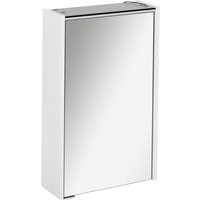 FACKELMANN Spiegelschrank »DENVER«, BxHxT: 41,7 x 68,3 x 16 cm, 6000 K, kaltweiß, 5W - grau FACKELMANN Spiegelschrank »DENVER«, BxHxT: 41,7 x 68,3 x 16 cm, 6000 K, kaltweiß, 5W - grau von Fackelmann