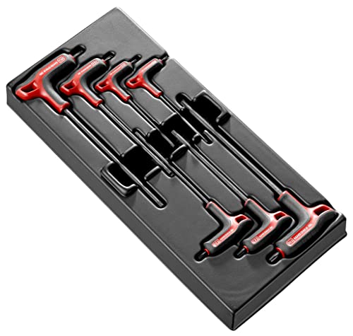 Facom PL.TORX-A – Modul mit 7 männlichen Schlüsseln, Griff aus "P" Torx, Schlüssel sind nicht enthalten von Facom
