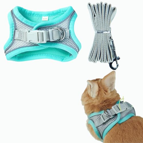 Haustiergeschirr, Kaninchen Geschirr mit Leine Set, Atmungsaktive Haustierweste, Jacke mit Reflektierenden Streifen für Kleine Kätzchen, Welpen, Kaninchen (Grün) von Factorys