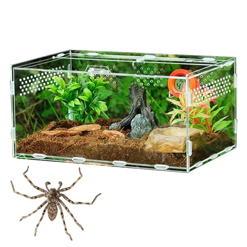 Feeding Box, Acryl-Terrarium-Behälter Für Spinnenechsen- -Skorpion, Tragbarer Kriechender Fütterungswerkzeugen, Für Spinnen, Eidechsen, Skorpion, Käfer, Mantis, Geckos von Facynde