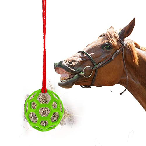 Futterspielball Pferd, Pferdespielzeug Für Die Pferde, Pferdeball, Pferde Spielzeug Für Echte Pferde, Pferd Behandeln Ball Heu Feeder Spielzeug(3 Farben) von Facynde