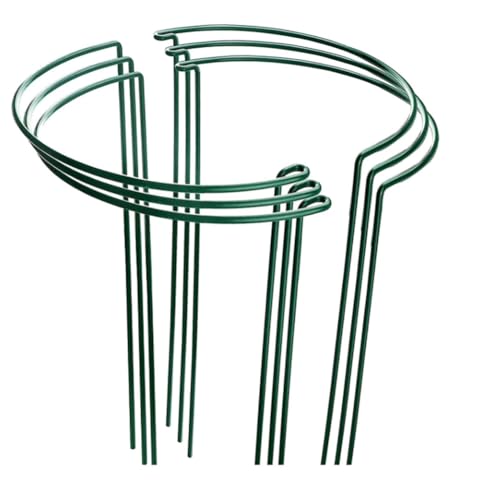 Faeymth 6er-Pack Große, 60 cm Hohe Pflanzenstützen in Bogenform, Gartenstützen Aus Metall, Halbrunde Blumenreifen Faeymth 6er-Pack Große, 60 cm Hohe Pflanzenstützen in Bogenform, Gartenstützen Aus Metall, Halbrunde Blumenreifen von Faeymth