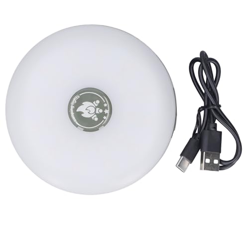 32,8 Fuß Lange Camping-Lichterkette, Warmweiße und Bunte Modi, Wiederaufladbare Tragbare USB-Zeltleuchte, Leicht und Wasserdicht, Notlicht für Camping mit Eingebautem Akku 32,8 Fuß Lange Camping-Lichterkette, Warmweiße und Bunte Modi, Wiederaufladbare Tragbare USB-Zeltleuchte, Leicht und Wasserdicht, Notlicht für Camping mit Eingebautem Akku von Fafeicy