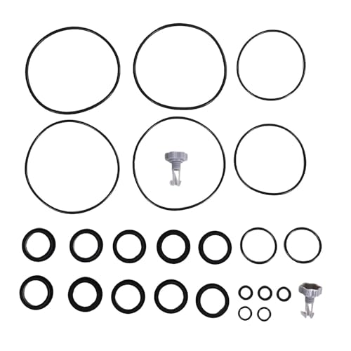 Fafeicy Sandfilterpumpendichtung Teile 25013 Ersatzreparatur Kit O Ringe und Luftfreisetzungsventile für Kompatibel von Fafeicy