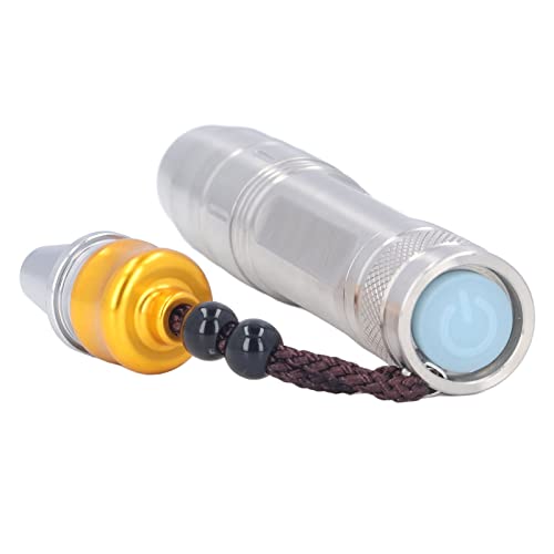 Identifikations-Taschenlampe, LED-Taschenlampe, Edelstein-Taschenlampe, 3 LED-Heckknopfsteuerung, Jade-Identifikations-Taschenlampe, Einfache Handtaschenlampen von Fafeicy