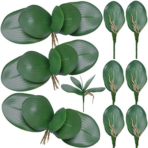 FagusHome 10 Stück künstliche Phalaenopsis Orchideenblätter 11 Zoll grünes künstliches Orchideenblatt (10Pcs) von FagusHome