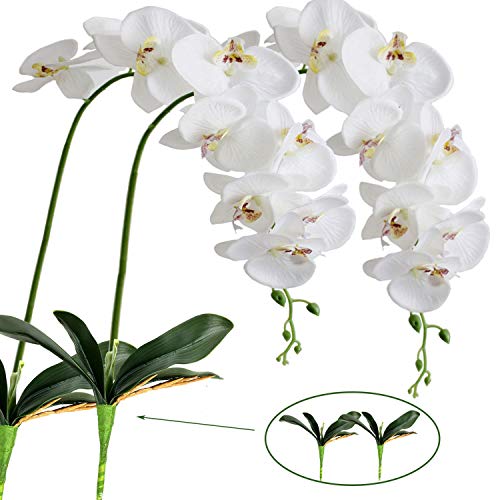 FagusHome 2 Stück künstliche Phalaenopsis Orchideen Blumen Weiß 105CM mit Künstliche Orchidee Blätter 2 Bündeln für Deko (2) von FagusHome