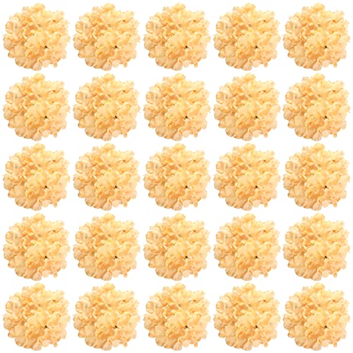 FagusHome 30 Stück künstliche Hortensien BlumeKöpfe 18cm Künstliche Blumen Köpfe mit Stielen Gefälschte Blumen für Deko (Champagne) von FagusHome