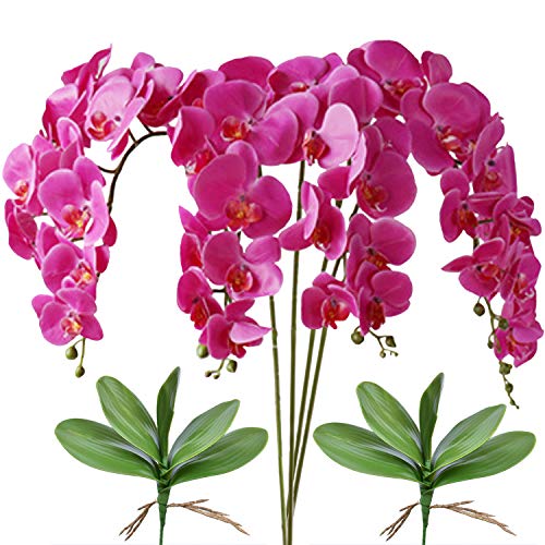 FagusHome 4 Stück künstliche Phalaenopsis Orchideen Blumen Lila 80CM mit Künstliche Orchidee Blätter 2 Bündeln für Deko (Lila) von FagusHome