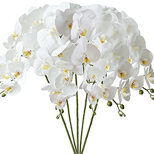 FagusHome 5 Stück Künstliche Phalaenopsis Blumen 80cm Weiß Künstliche Orchideenblumen Stammpflanzen für Wohnkultur FagusHome 5 Stück Künstliche Phalaenopsis Blumen 80cm Weiß Künstliche Orchideenblumen Stammpflanzen für Wohnkultur von FagusHome