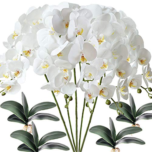 FagusHome 5 Stück künstliche Phalaenopsis Orchideen Blumen Weiß mit 4 Bündeln Künstliche Orchidee Blätter für Deko von FagusHome