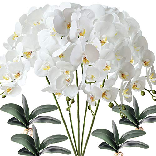 FagusHome 5 Stück künstliche Phalaenopsis Orchideen Blumen Weiß mit 4 Bündeln Künstliche Orchidee Blätter für Deko FagusHome 5 Stück künstliche Phalaenopsis Orchideen Blumen Weiß mit 4 Bündeln Künstliche Orchidee Blätter für Deko von FagusHome