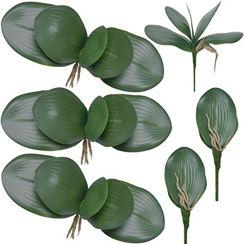 FagusHome 6 Stück Künstliche Orchidee Blätter 26cm Künstliche Phalaenopsis Blätter Kunstpflanzen Grün Deko Blätter (6Pcs) von FagusHome