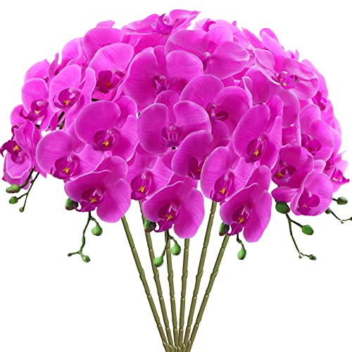 FagusHome 6 Stück Künstliche Phalaenopsis Blumen 80CM Künstliche Orchideenblumen Stammpflanzen für Wohnkultur (Violett) von FagusHome