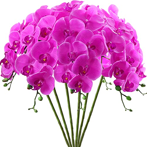 FagusHome 6 Stück Künstliche Phalaenopsis Blumen 80cm lila Künstliche Orchideenblumen Stammpflanzen für Wohnkultur FagusHome 6 Stück Künstliche Phalaenopsis Blumen 80cm lila Künstliche Orchideenblumen Stammpflanzen für Wohnkultur von FagusHome