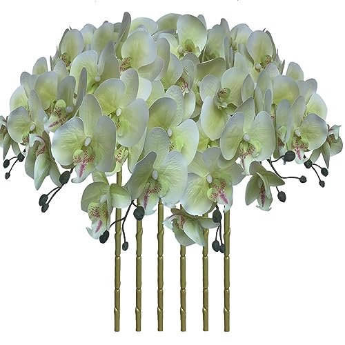 FagusHome 6 Stück Künstliche Phalaenopsis Blumen Weiß 80cm Künstliche Orchideenblumen Stammpflanzen für Wohnkultur (Hellgrün) von FagusHome