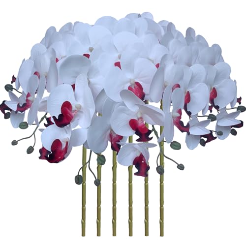 FagusHome 6 Stück Künstliche Phalaenopsis Blumen Weiß 80cm Künstliche Orchideenblumen Stammpflanzen für Wohnkultur (Reines Weiß) von FagusHome