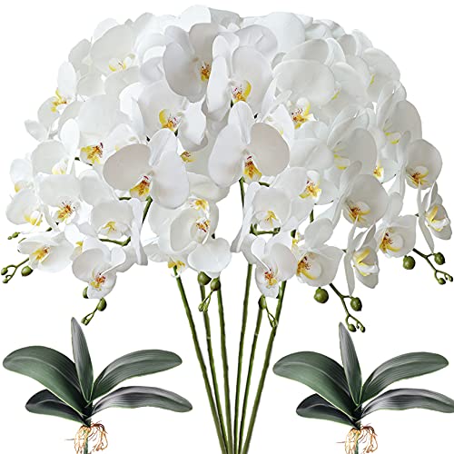 FagusHome 6 Stück künstliche Phalaenopsis Orchideen Blumen Weiß mit 2 Bündeln Künstliche Orchidee Blätter für Deko von FagusHome