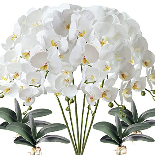 FagusHome 6 Stück künstliche Phalaenopsis Orchideen Blumen Weiß mit 4 Bündeln Künstliche Orchidee Blätter für Deko von FagusHome