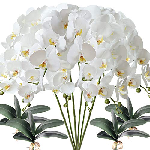 FagusHome 6 Stück künstliche Phalaenopsis Orchideen Blumen Weiß mit 4 Bündeln Künstliche Orchidee Blätter für Deko FagusHome 6 Stück künstliche Phalaenopsis Orchideen Blumen Weiß mit 4 Bündeln Künstliche Orchidee Blätter für Deko von FagusHome