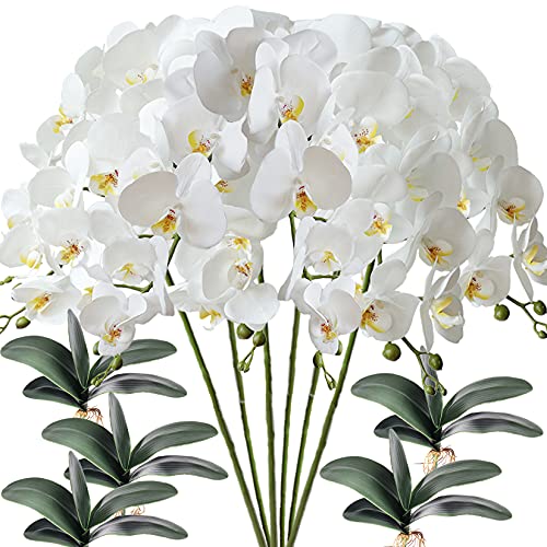 FagusHome 6 Stück künstliche Phalaenopsis Orchideen Blumen Weiß mit 5 Bündeln Künstliche Orchidee Blätter für Deko von FagusHome