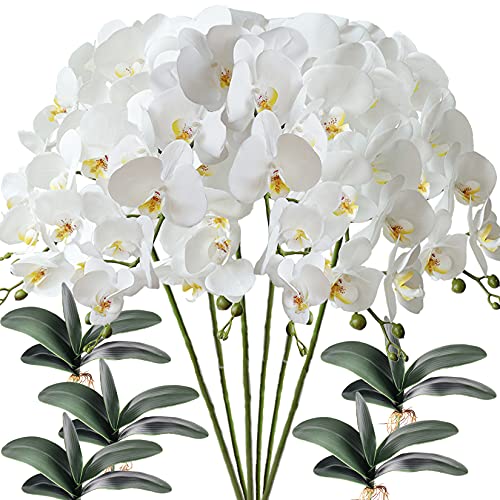 FagusHome 6 Stück künstliche Phalaenopsis Orchideen Blumen Weiß mit 5 Bündeln Künstliche Orchidee Blätter für Deko FagusHome 6 Stück künstliche Phalaenopsis Orchideen Blumen Weiß mit 5 Bündeln Künstliche Orchidee Blätter für Deko von FagusHome