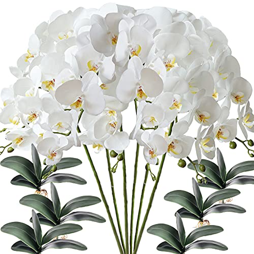 FagusHome 6 Stück künstliche Phalaenopsis Orchideen Blumen Weiß mit 6 Bündeln Künstliche Orchidee Blätter für Deko von FagusHome