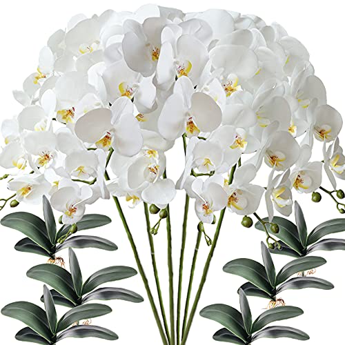 FagusHome 6 Stück künstliche Phalaenopsis Orchideen Blumen Weiß mit 6 Bündeln Künstliche Orchidee Blätter für Deko FagusHome 6 Stück künstliche Phalaenopsis Orchideen Blumen Weiß mit 6 Bündeln Künstliche Orchidee Blätter für Deko von FagusHome